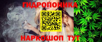 крисы Конаково