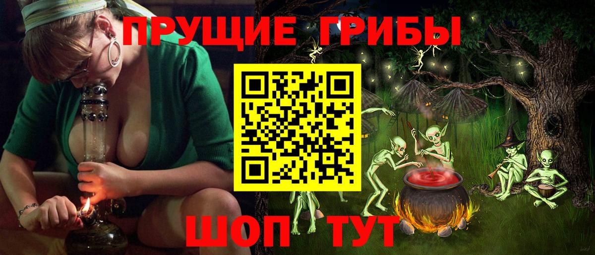 Псилоцибиновые грибы Psilocybine cubensis Кимры